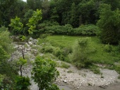 DSC08045.JPG